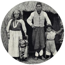 Mapuches