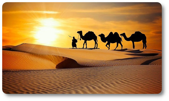 Photo Pixabay- Mohamed_hassan