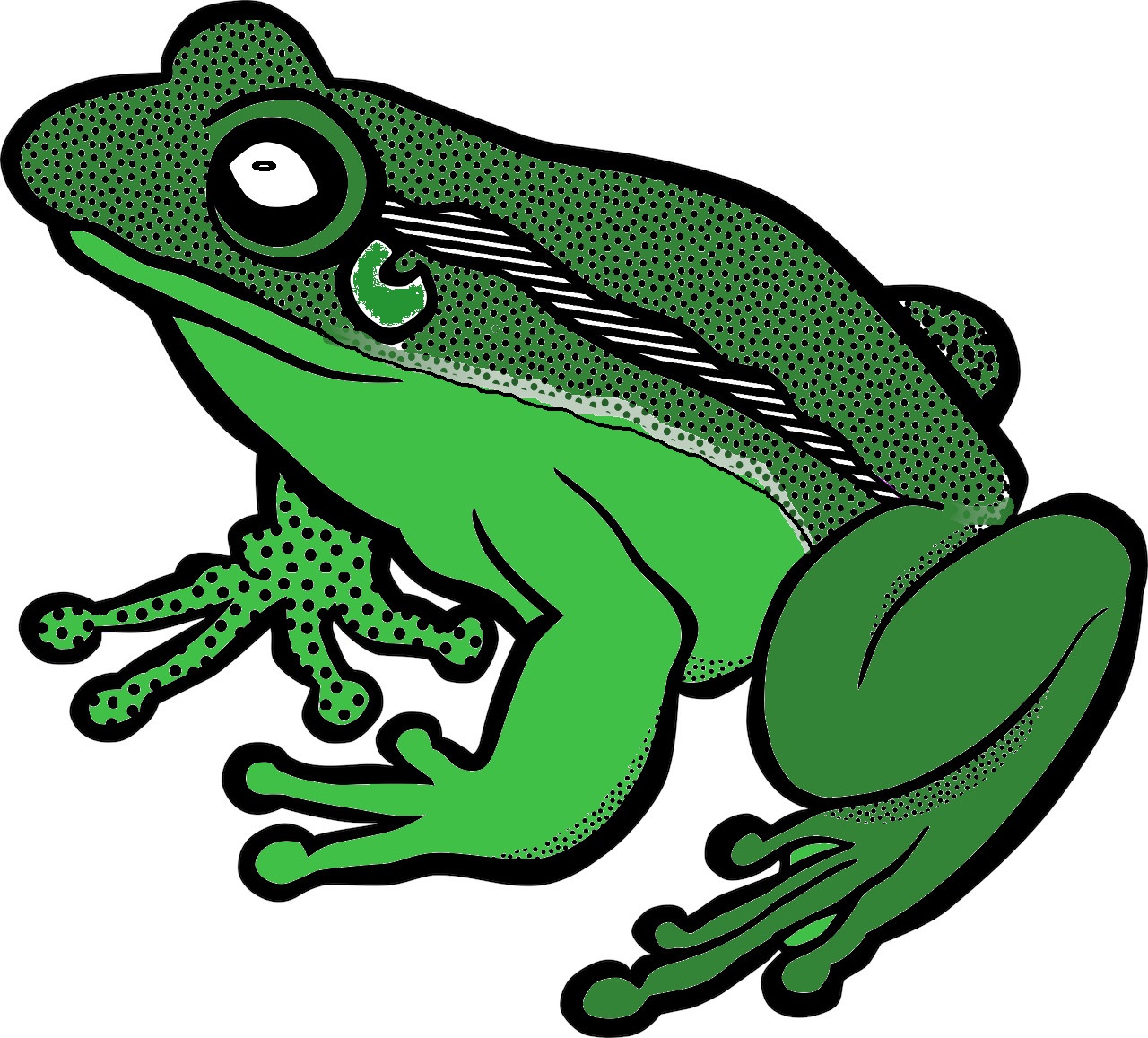 grenouille