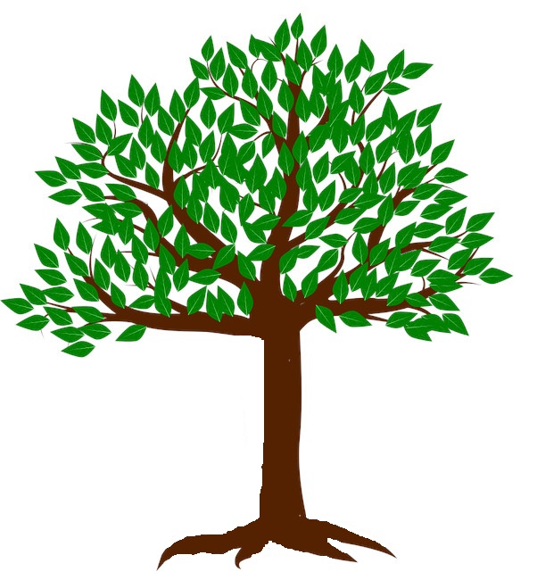 padrefilar by pixabay